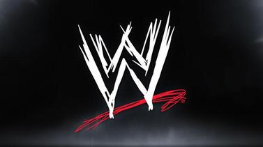 Rasheed Wallace bought 47 WWE Championship belts after 2004 title